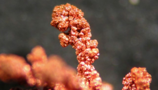 Remate 120 Kg. Nano Cobre en NanoPartículas con 99,9999% de Pureza Química 5nm a 50nm